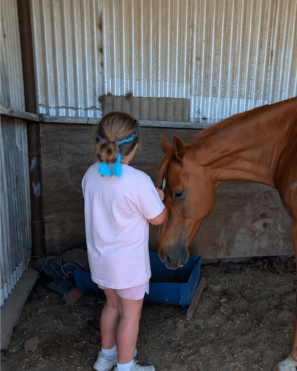 A child standing quietly beside a horse in the stable yard.